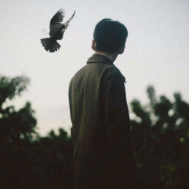 ♚皮蛋是只圣伯纳