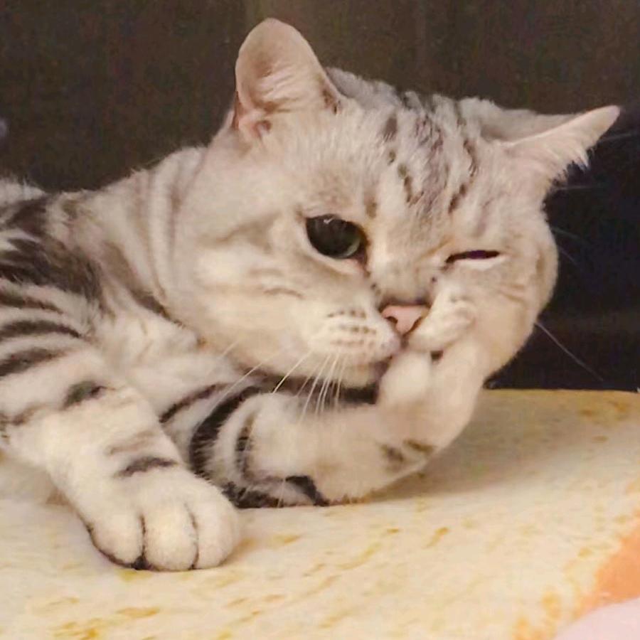 一克拉眼泪💍