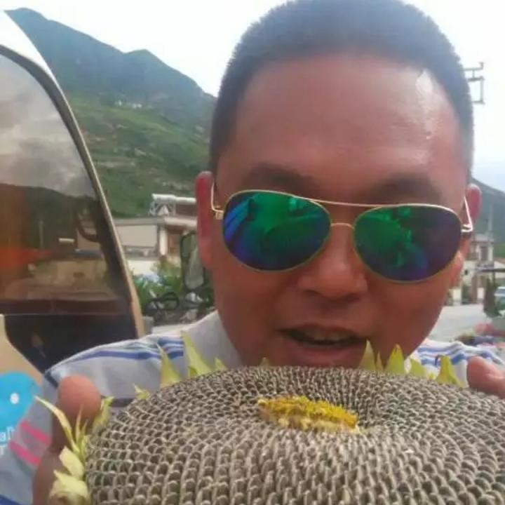 疯哥