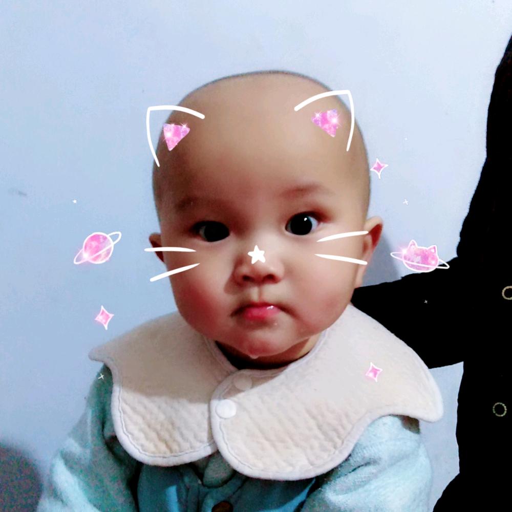 小贺贺