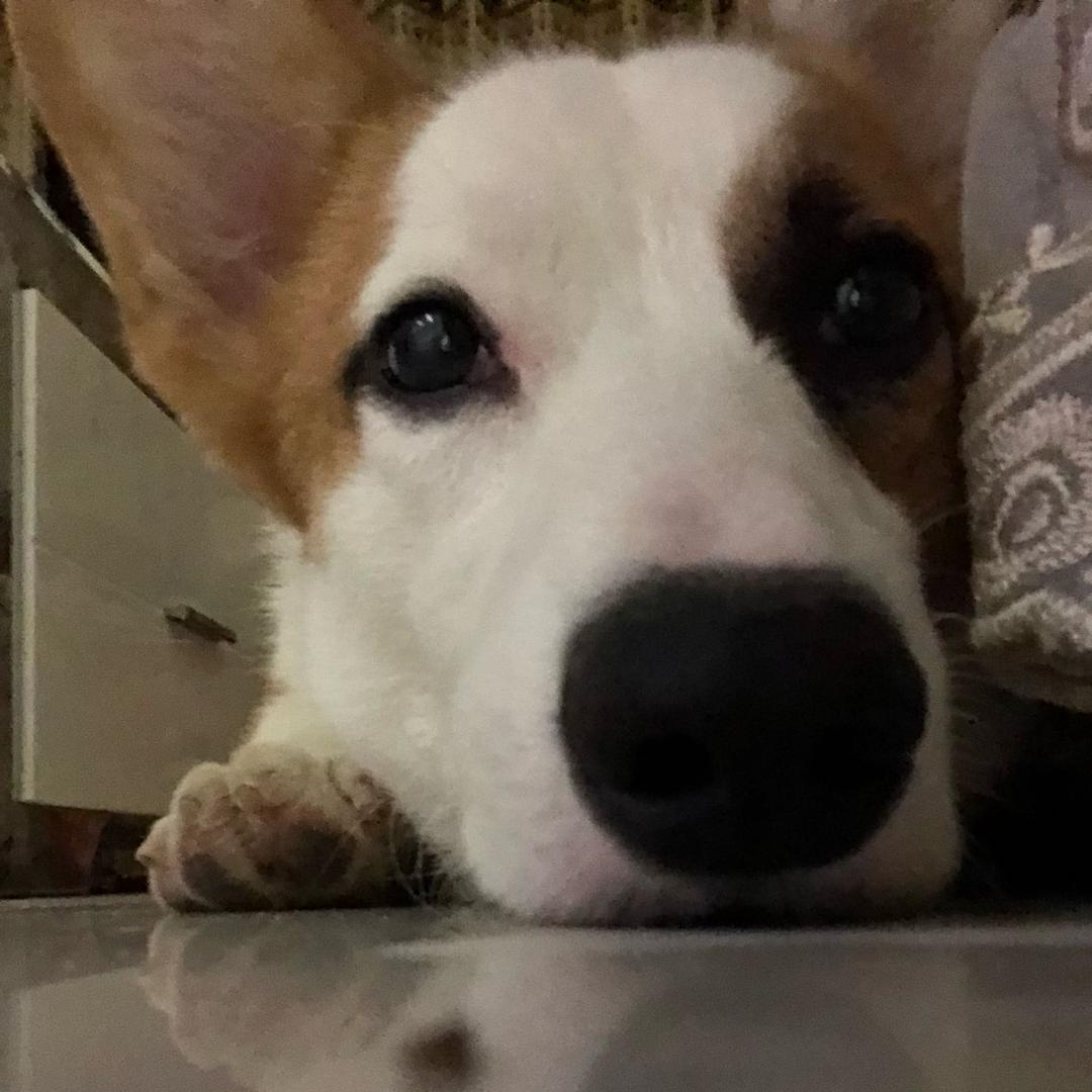 菲菲菲菲菲💋🍺