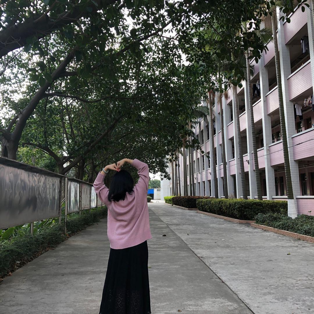 喵喵不爱吃鱼