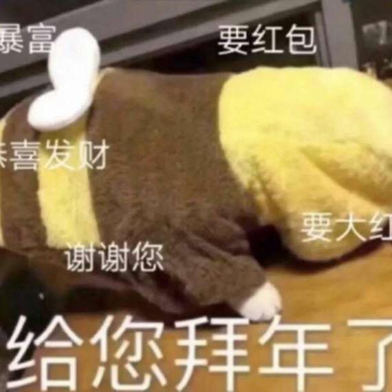 是喵总啊