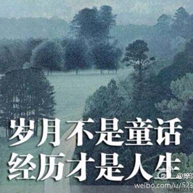 大碗满满😇