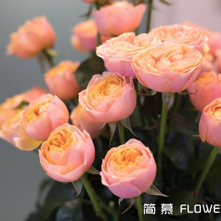 云南简慕鲜花