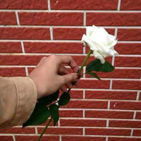 卓玛……＃＃蒙古