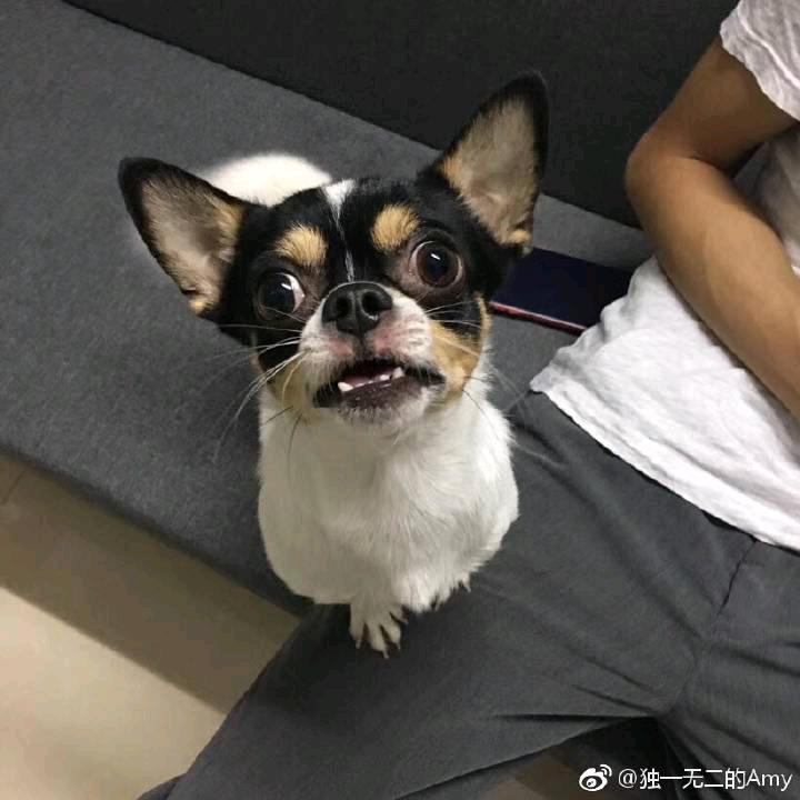 小明-杭州网约车(拾六出行车队)