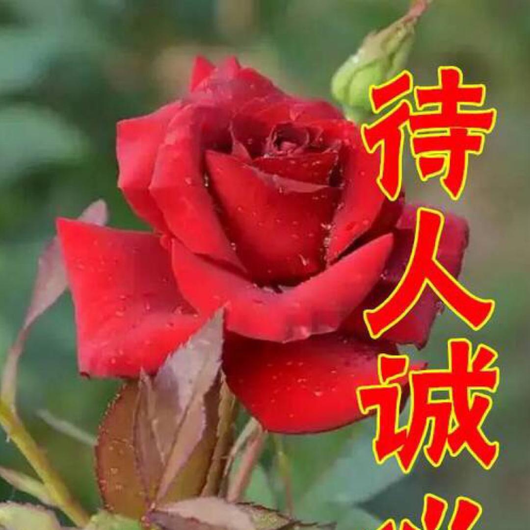 好嗨哦