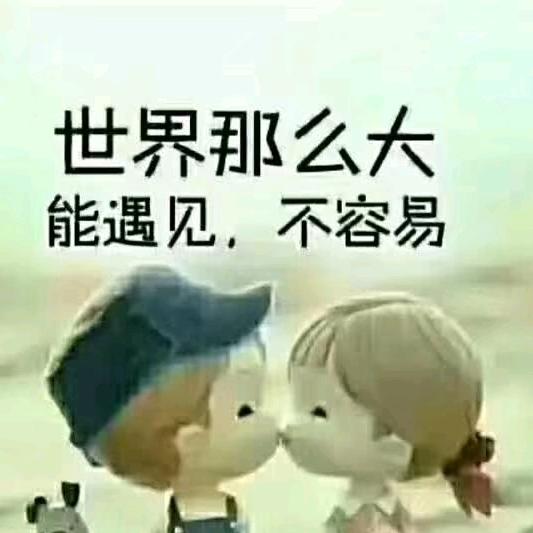 西贝先生