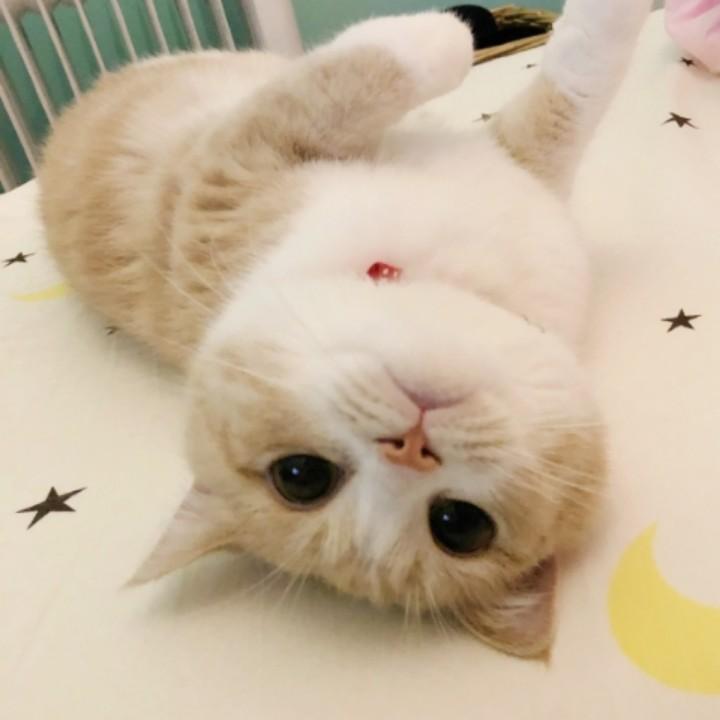 九.月