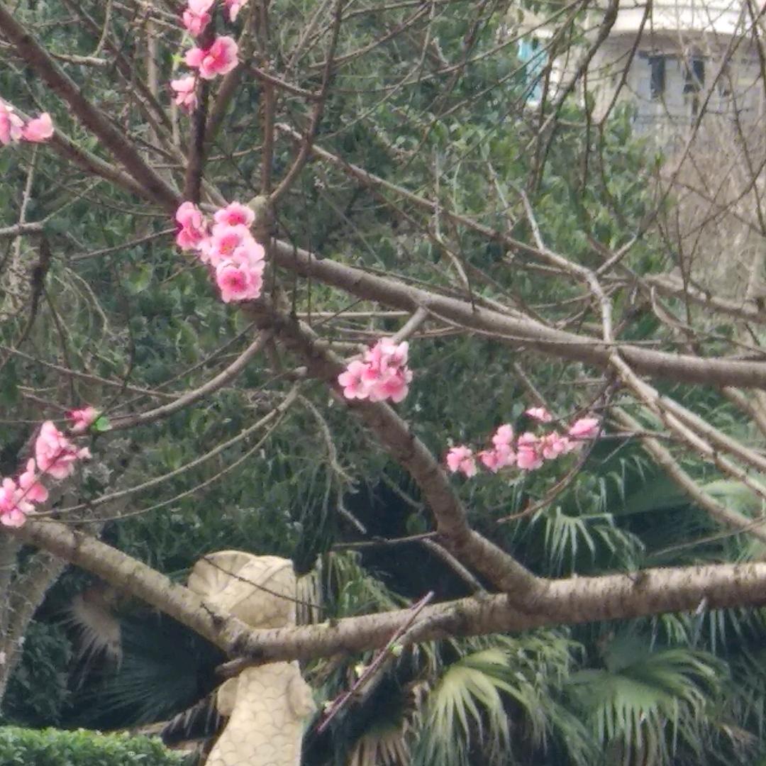 一生平安