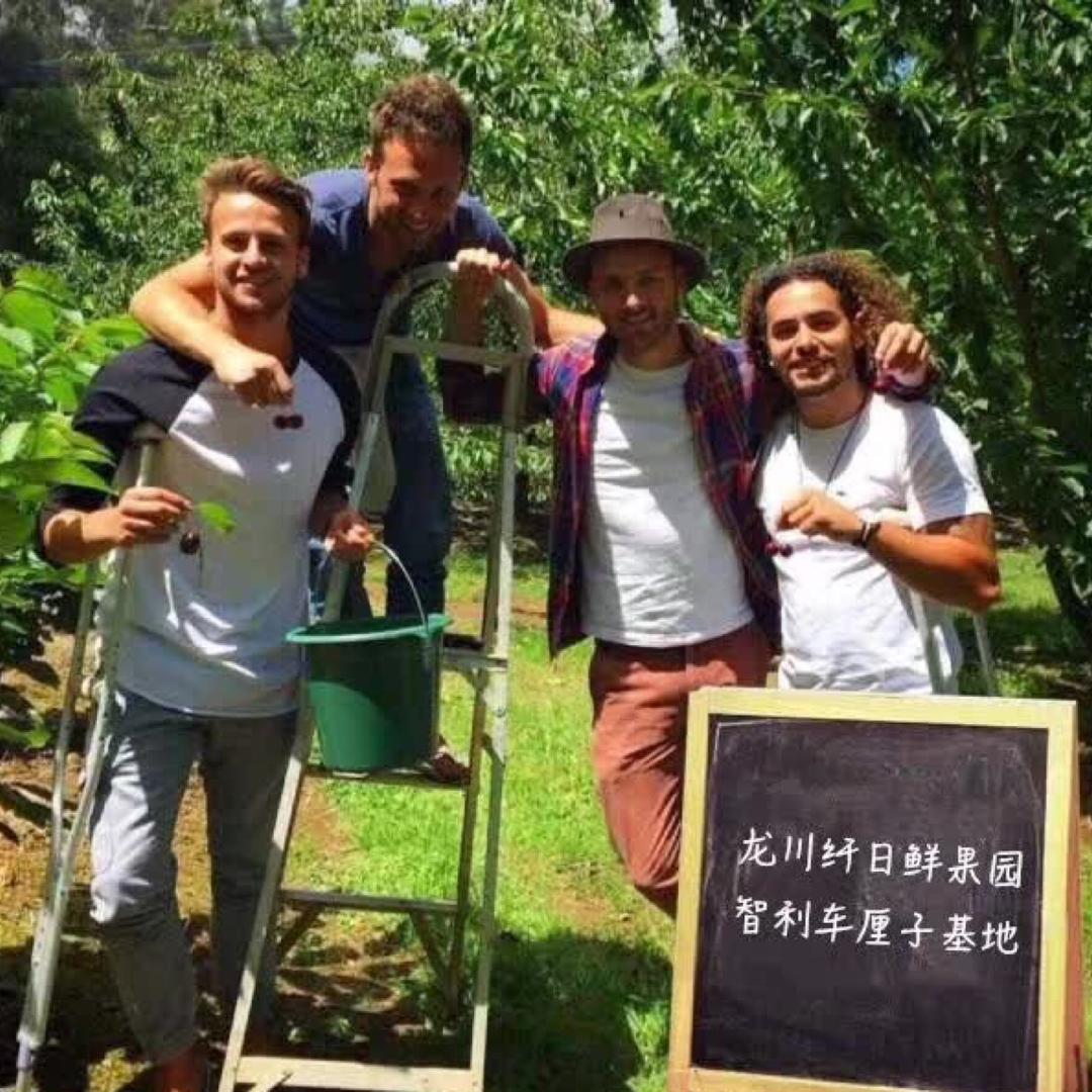 纤日鲜优果