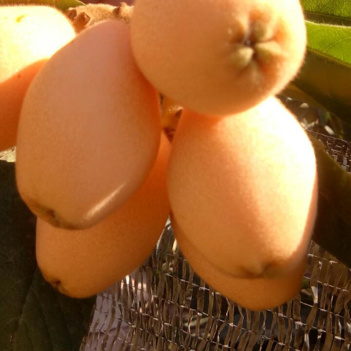 ໑ຼₒ₂₃ღ᭄心已麻木ン怎会痛🕊꧔ꦿ᭄