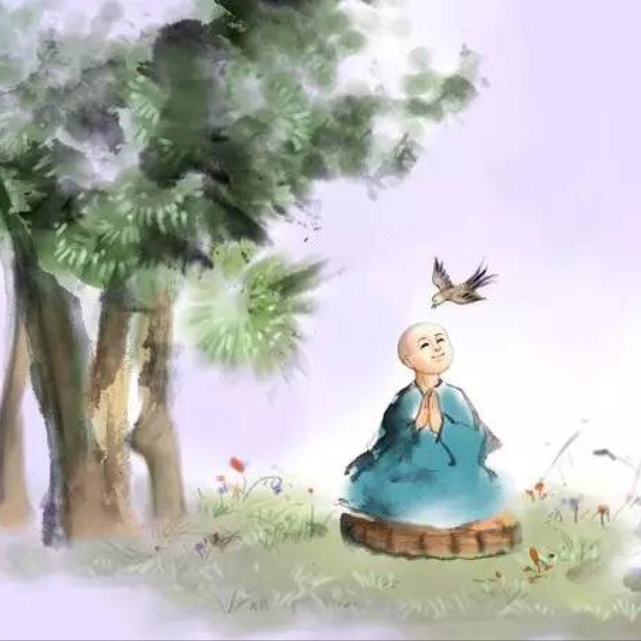 红阳哥哥