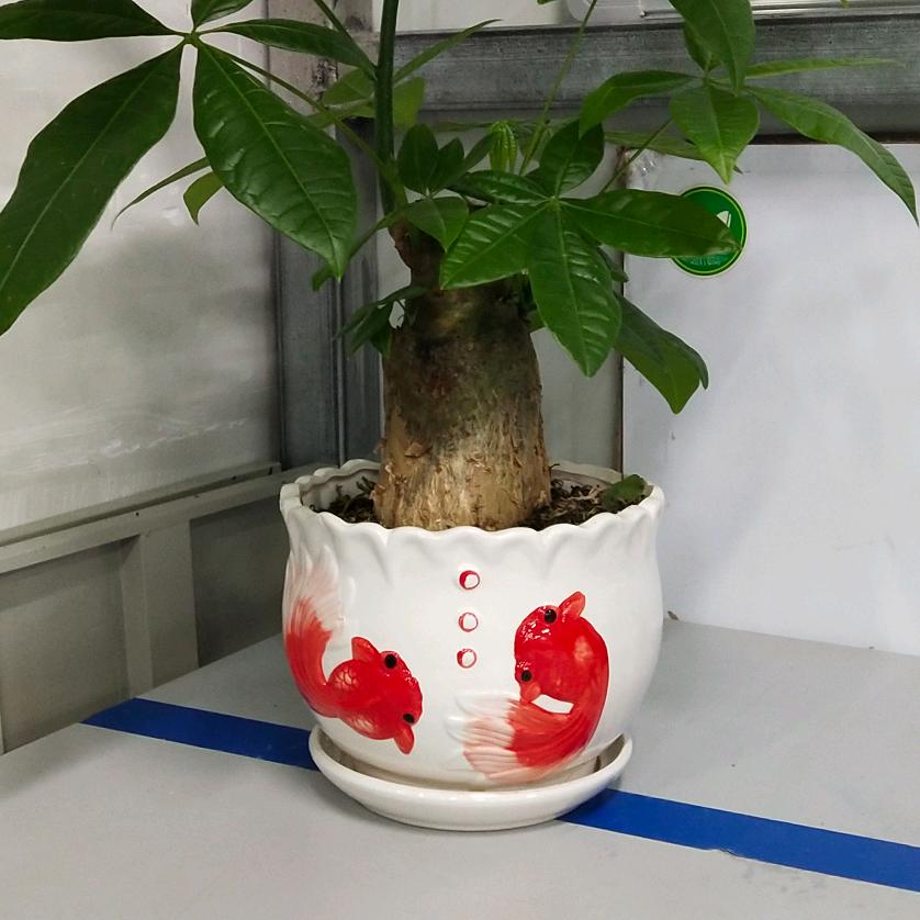 迪斯尼🌺公主