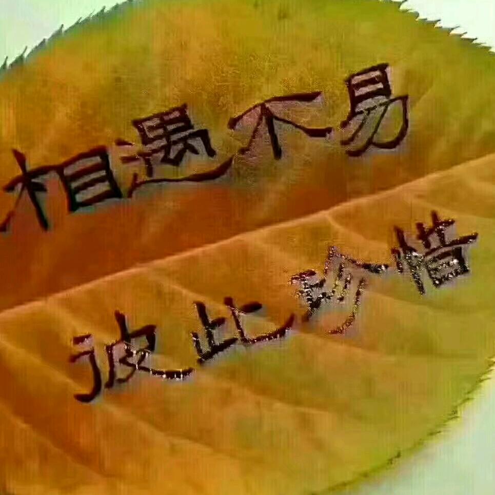 潇洒兰哥