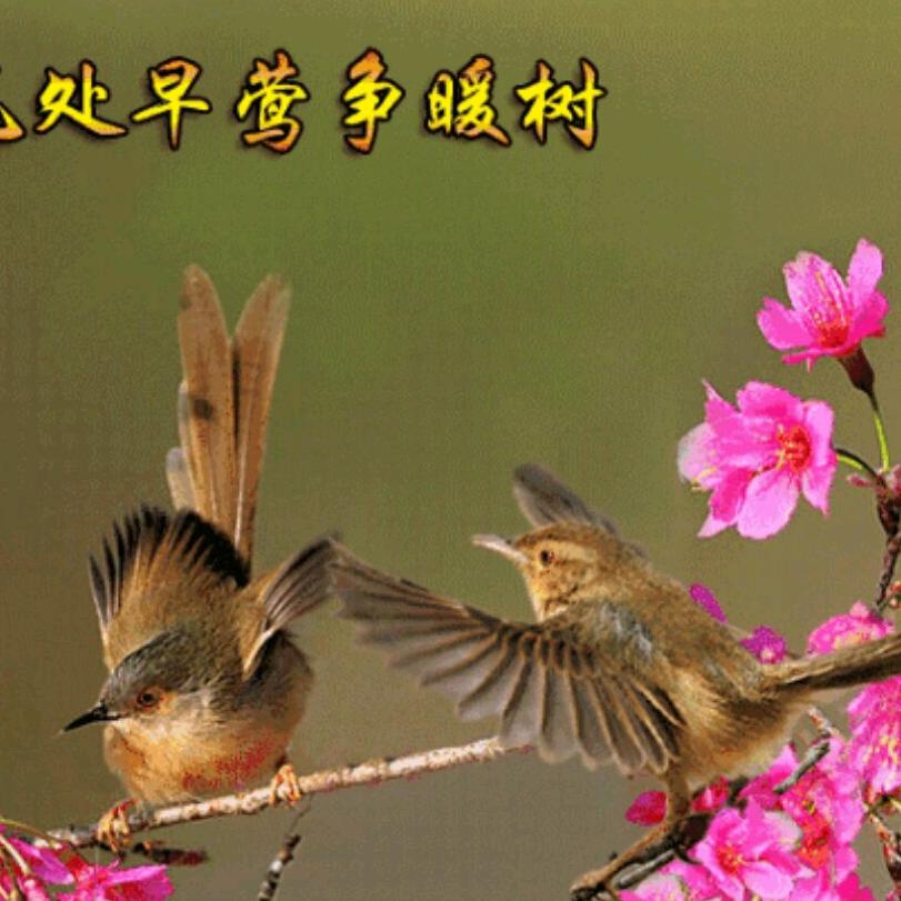 来生缘