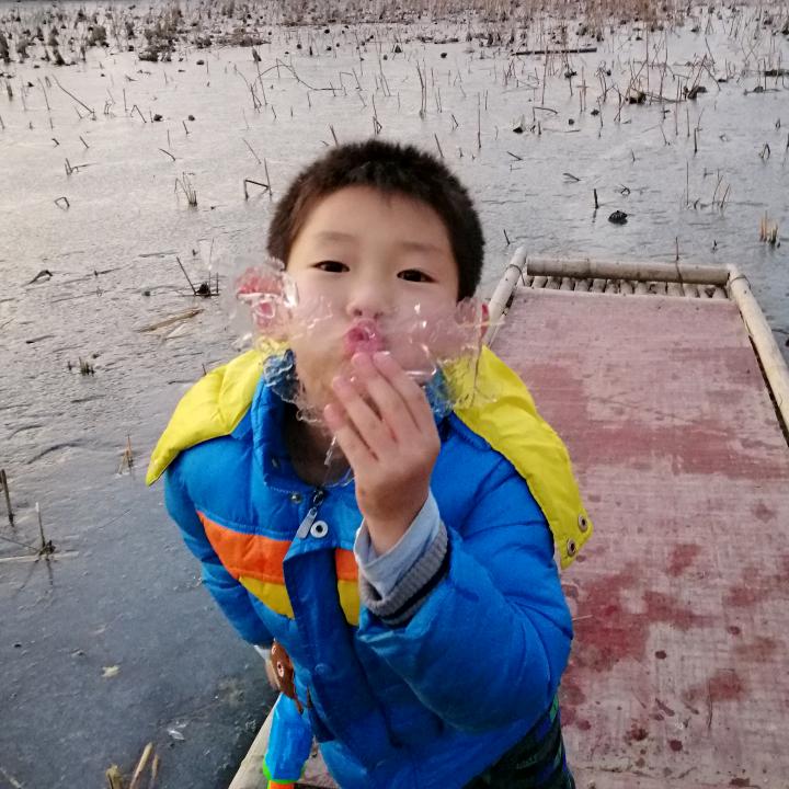 茂茂