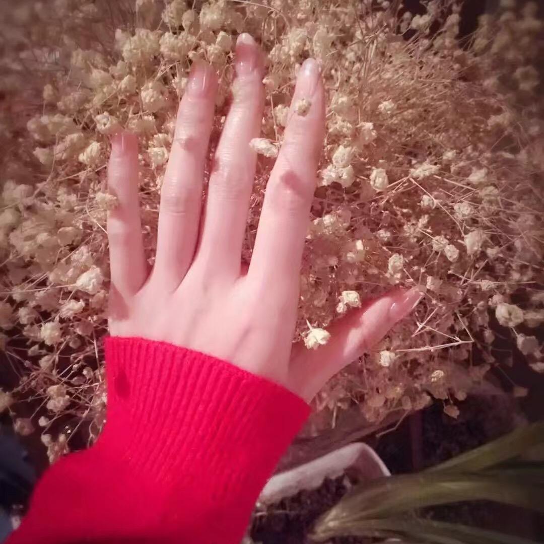 🌸饭饭