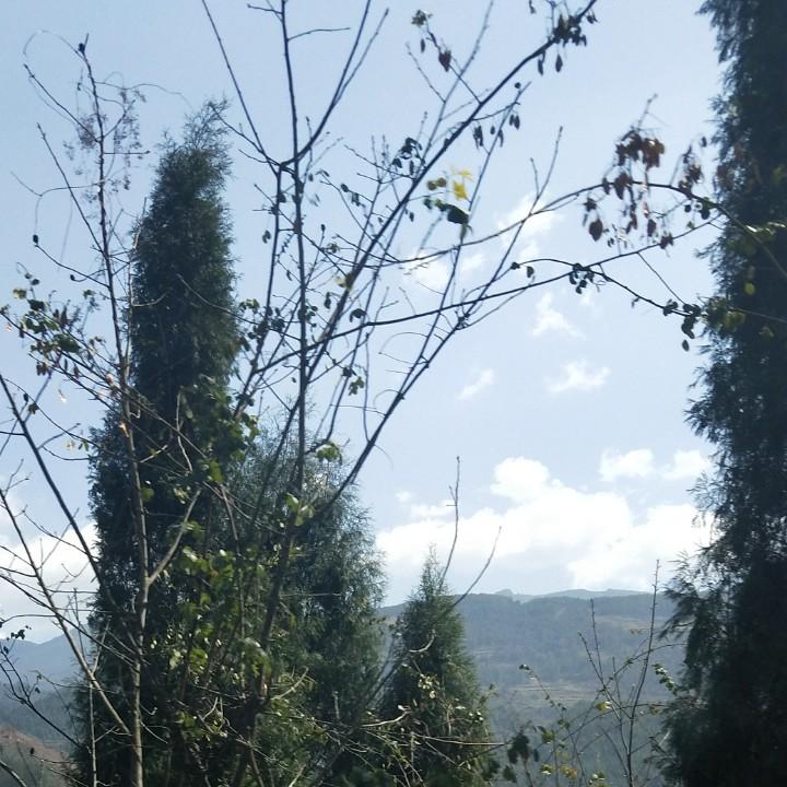 平安就好
