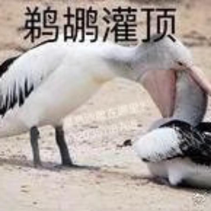 不讲理，不求人