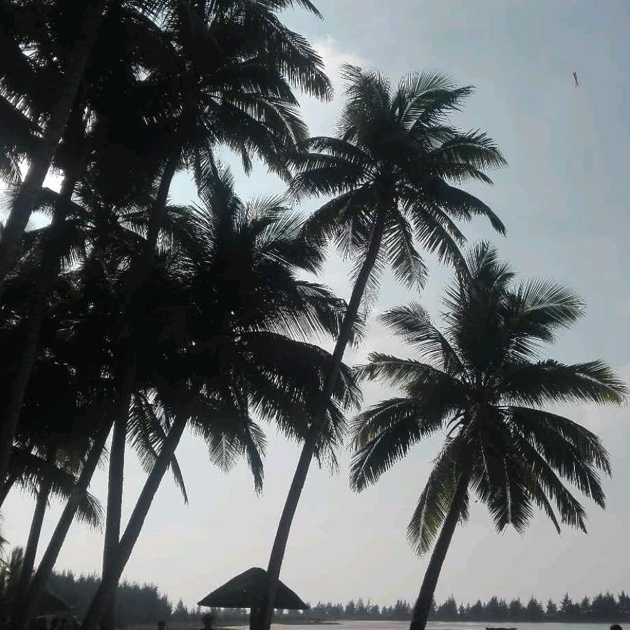 和平鼓队《杨柳青青》
