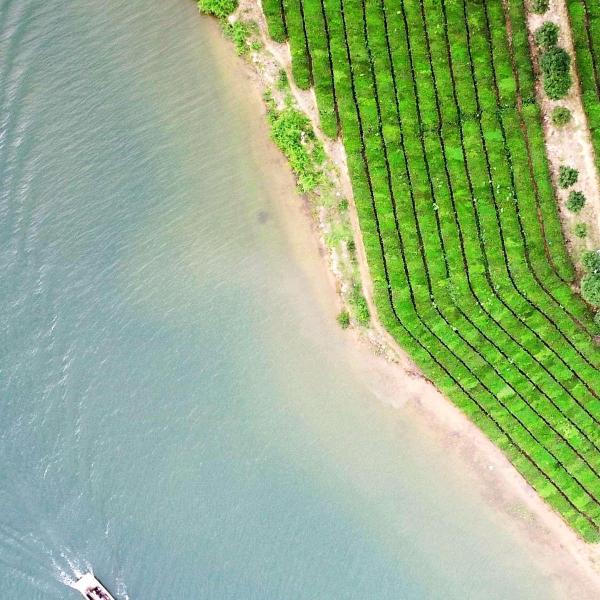 手机用户7836525540