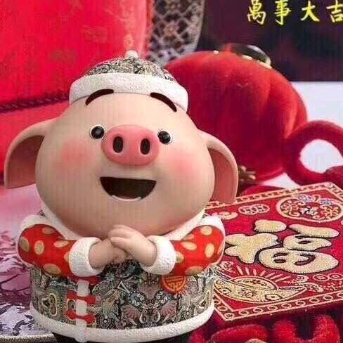 小小猪