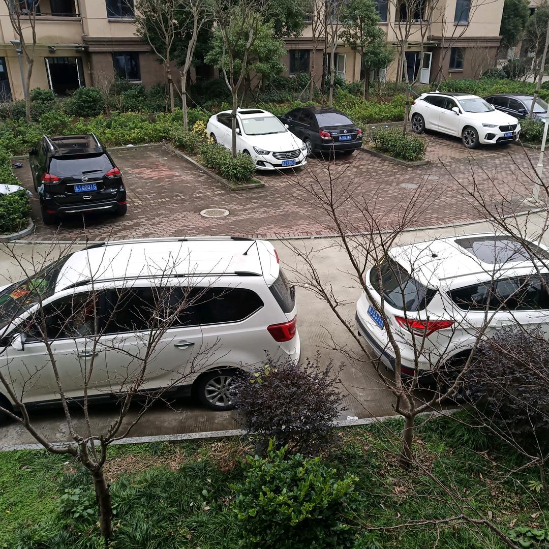 💞ঞᩚ清风꧔ꦿ💞