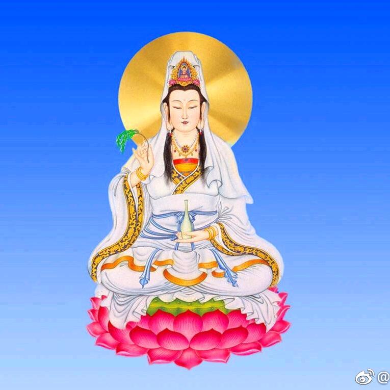虎子