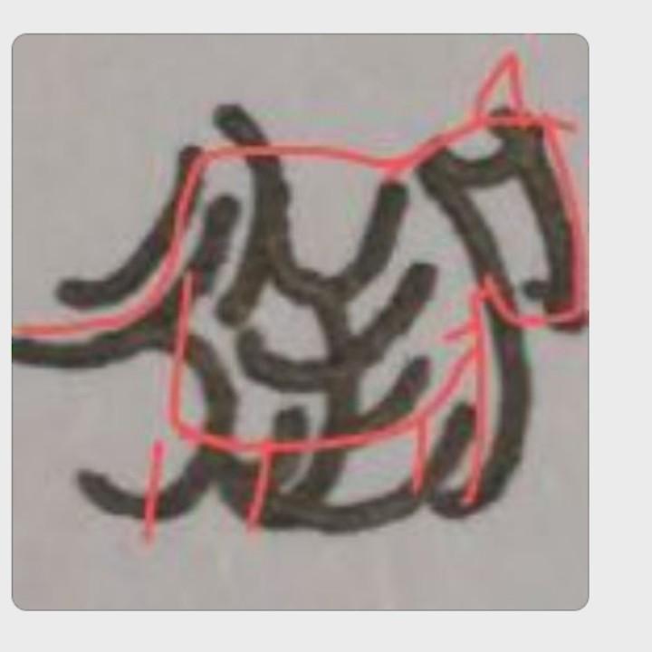 嗷了个嗷