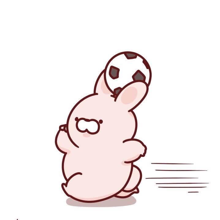 谢_耗子