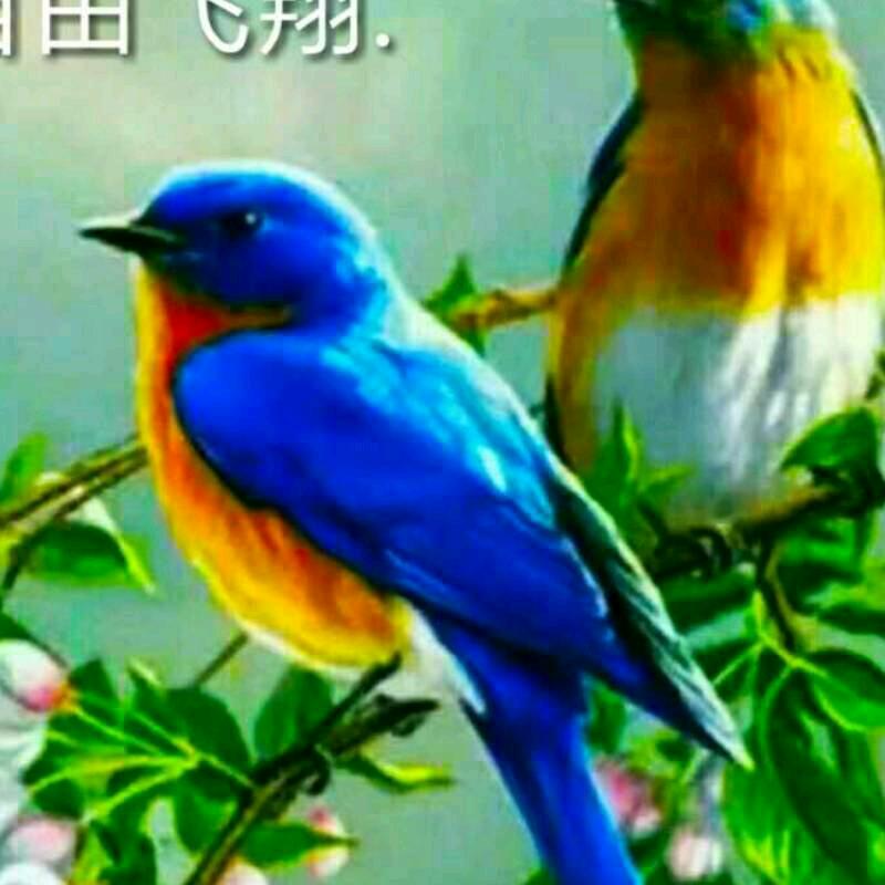 爱的代价