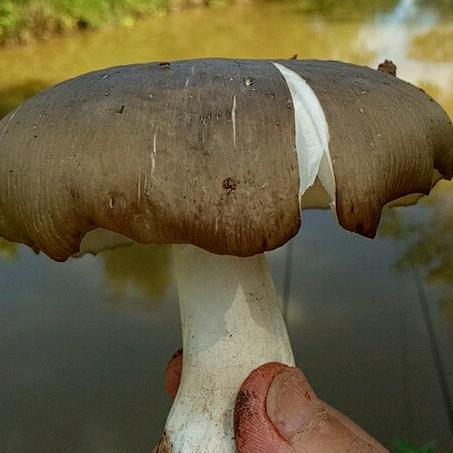 仁寿县禄加镇唯度工坊