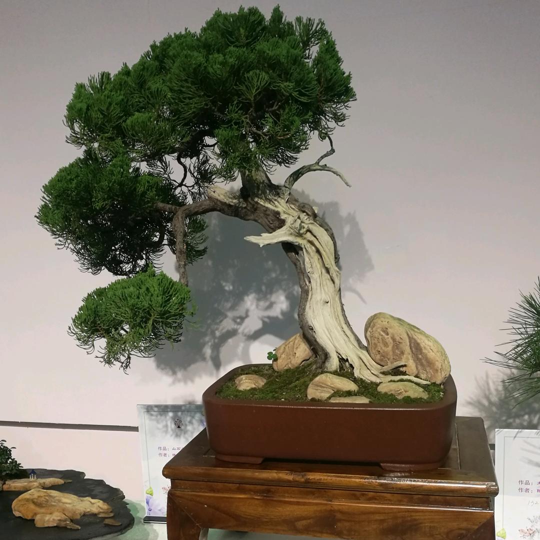 红红火火