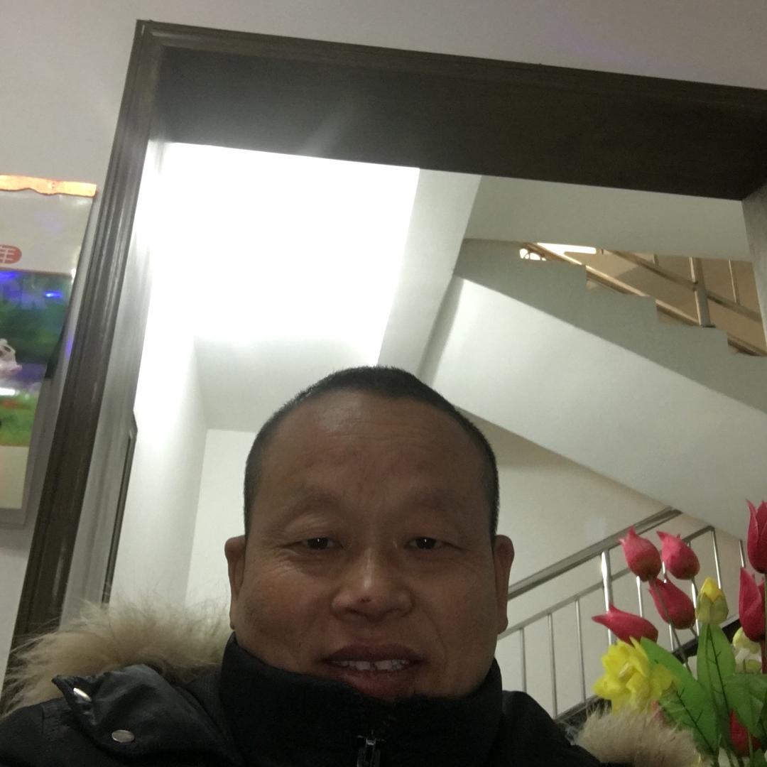 陈辉君