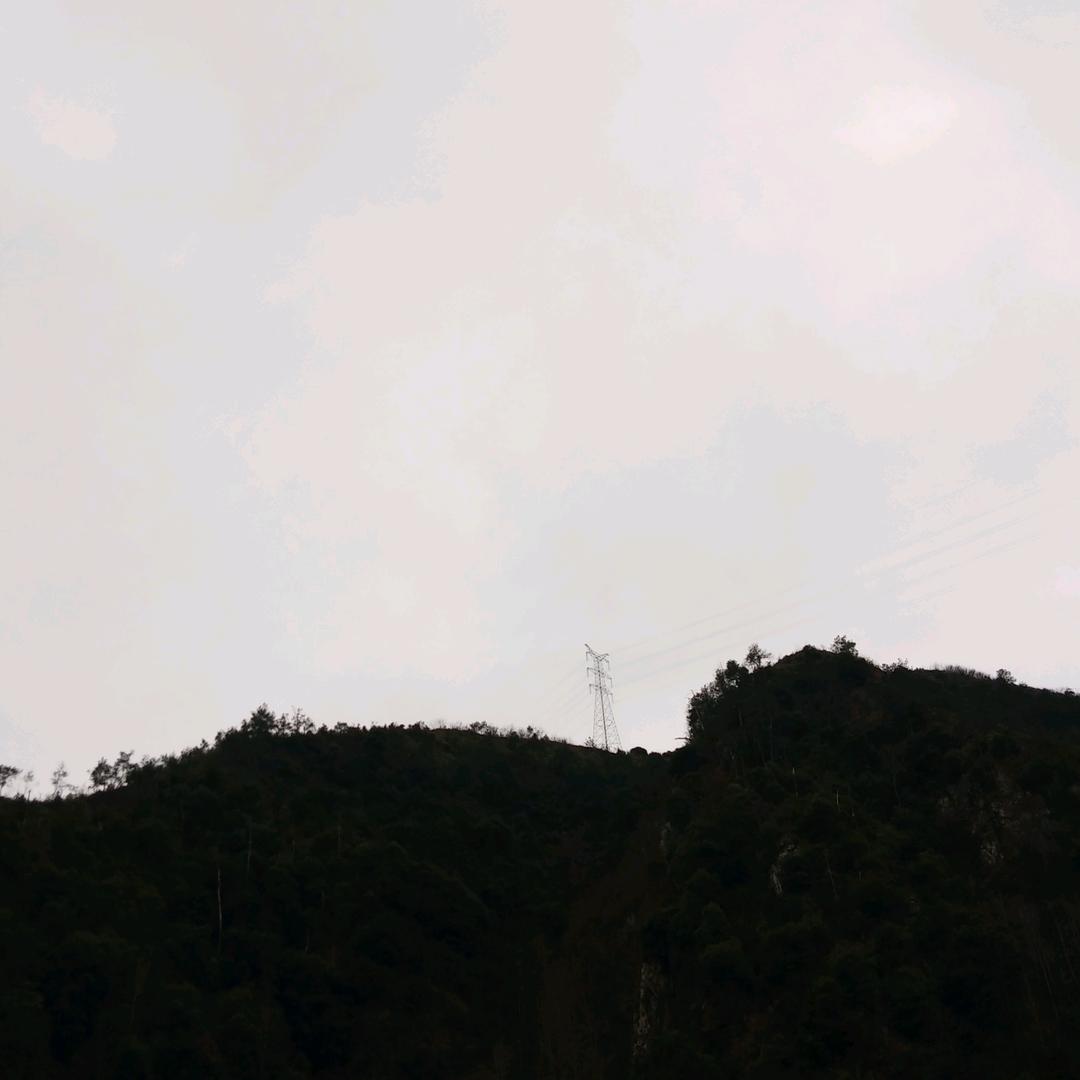 浙江汤文玲