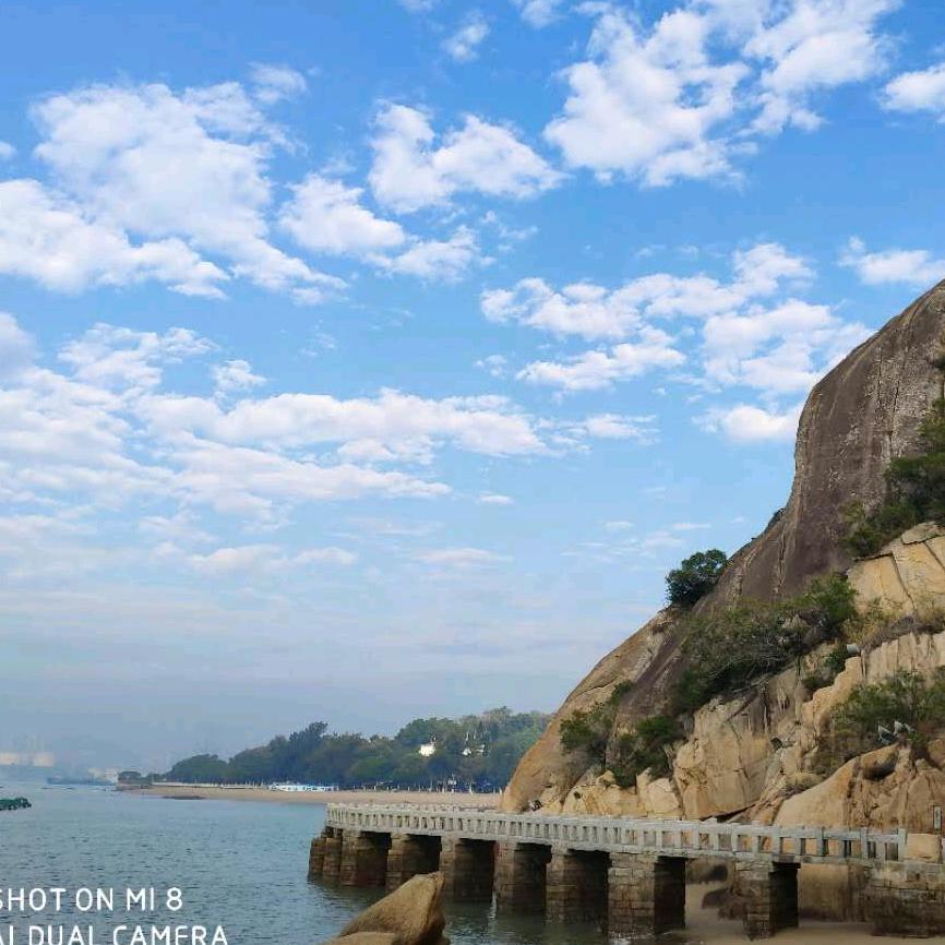 爱喝酒的哈士奇