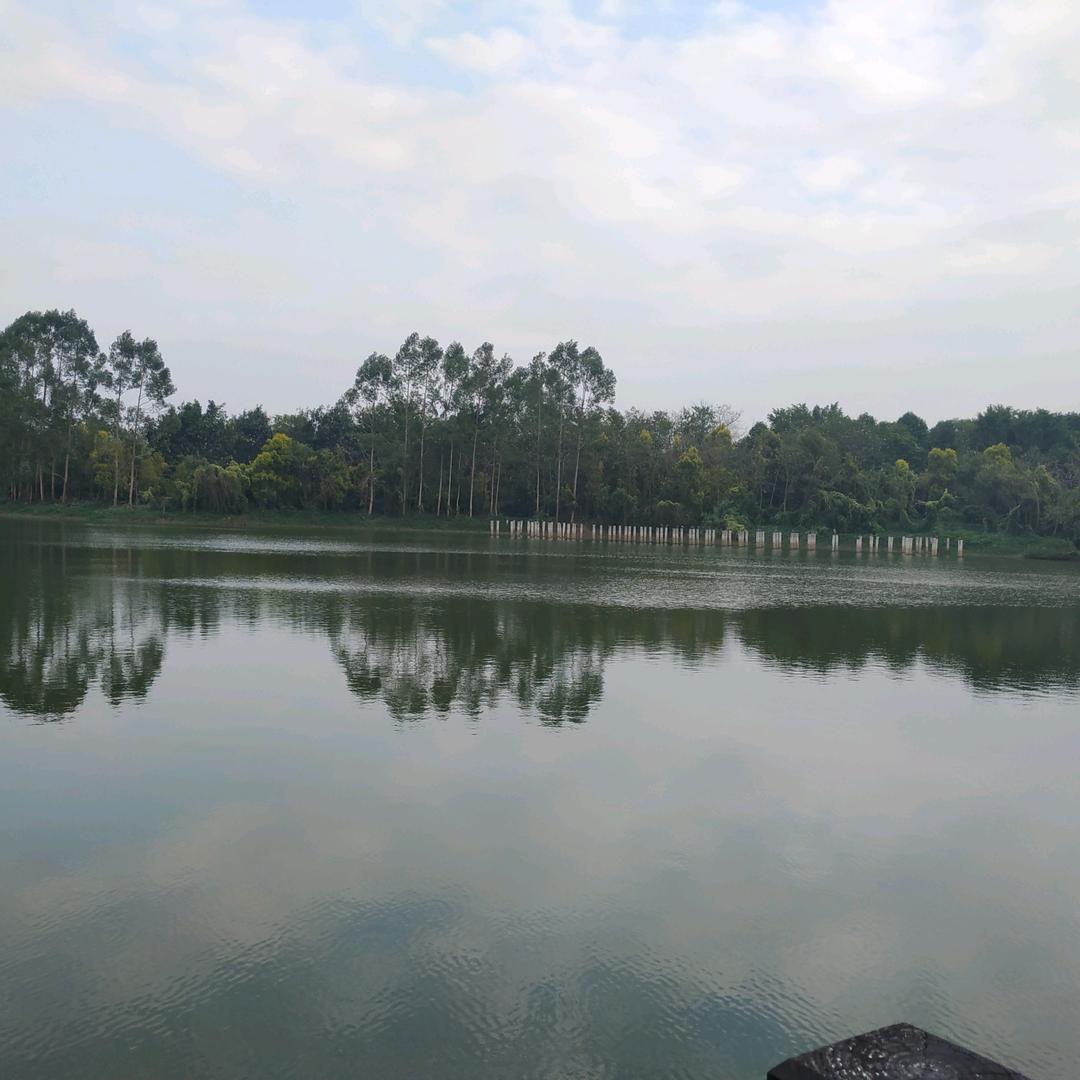 佛心缘