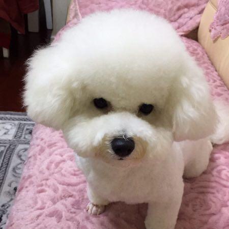 知足常乐