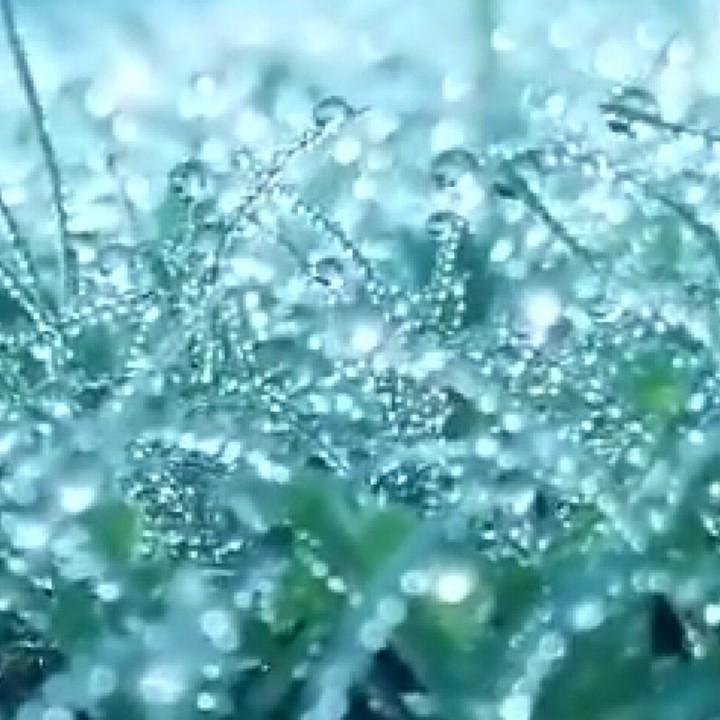 执着