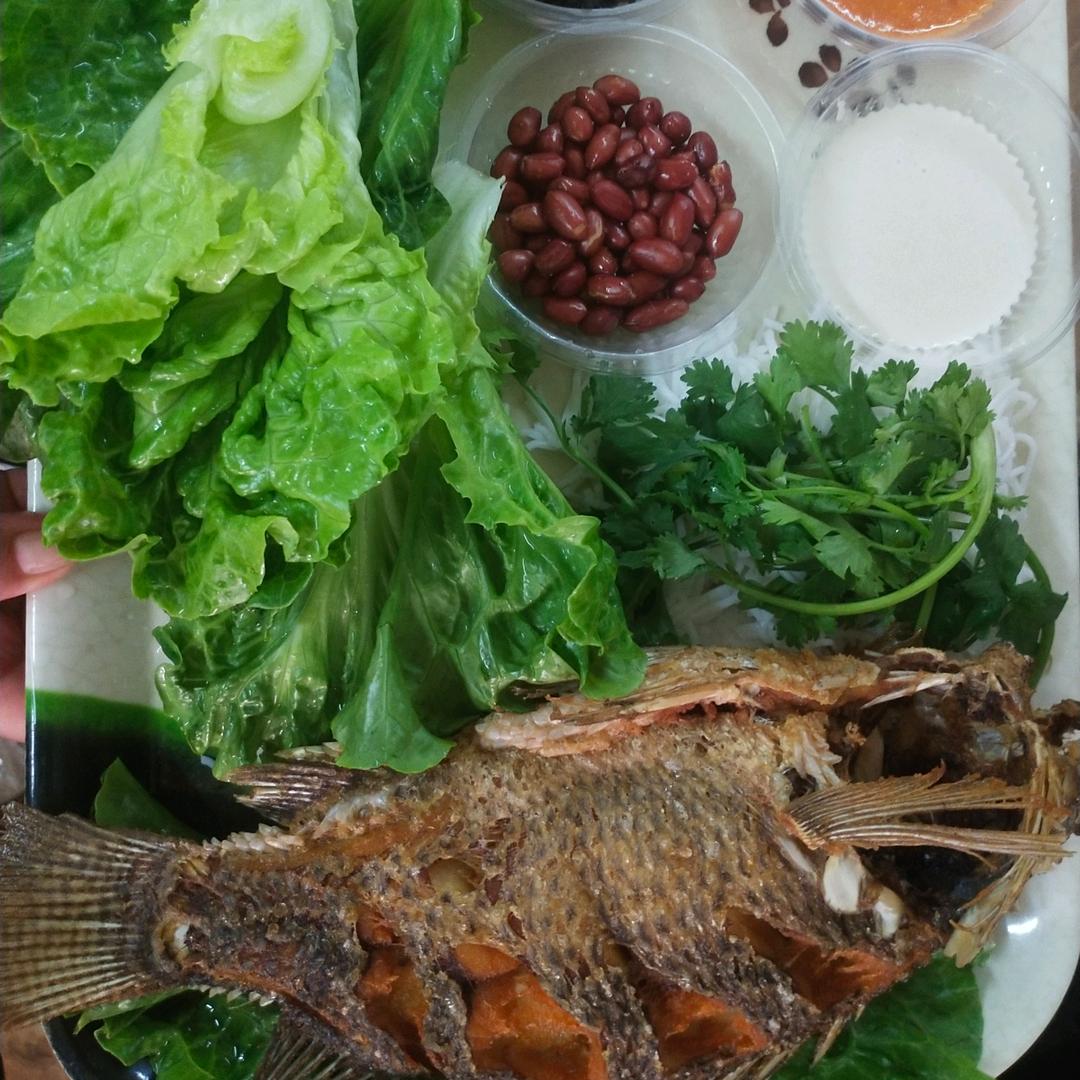 杨杨