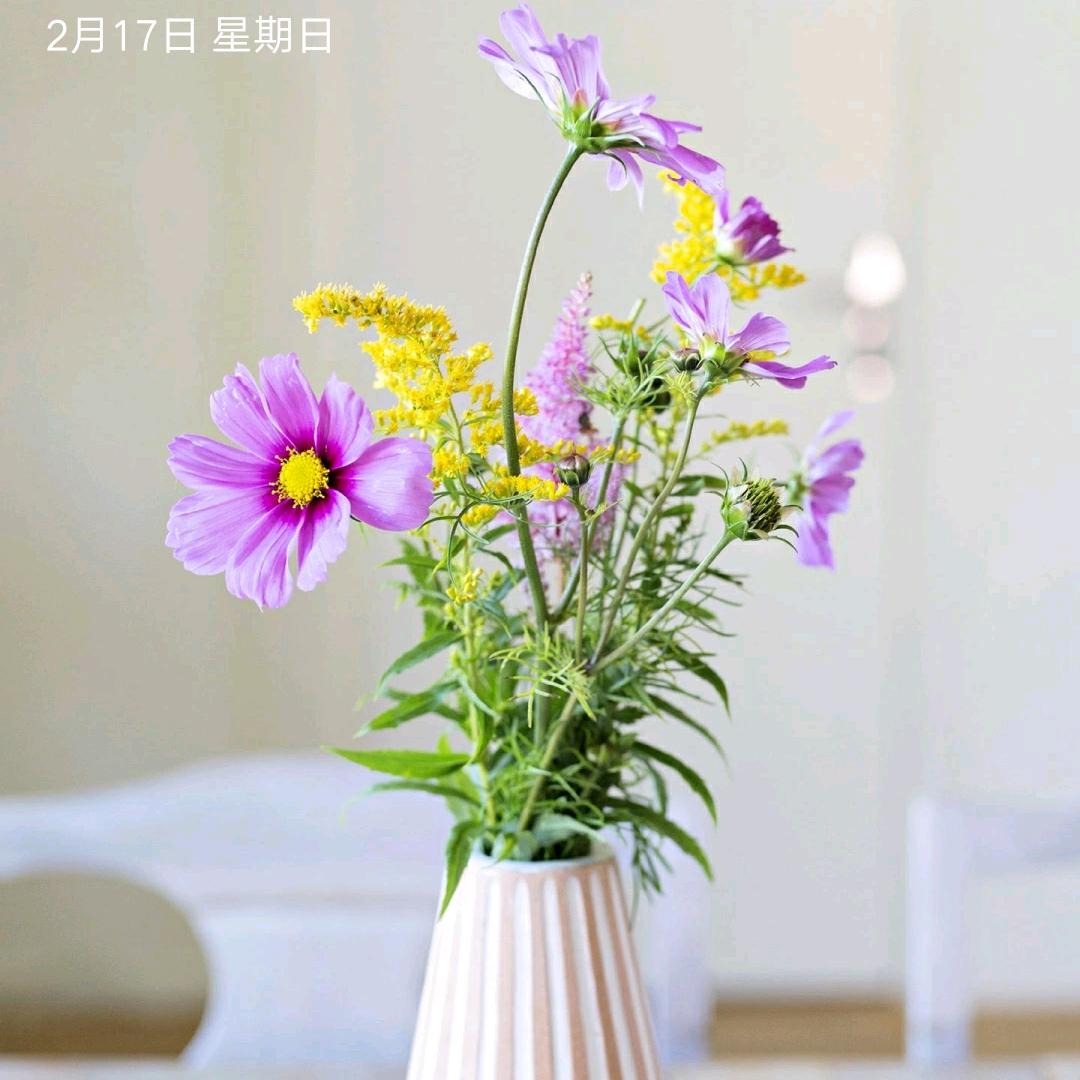 田田游戏