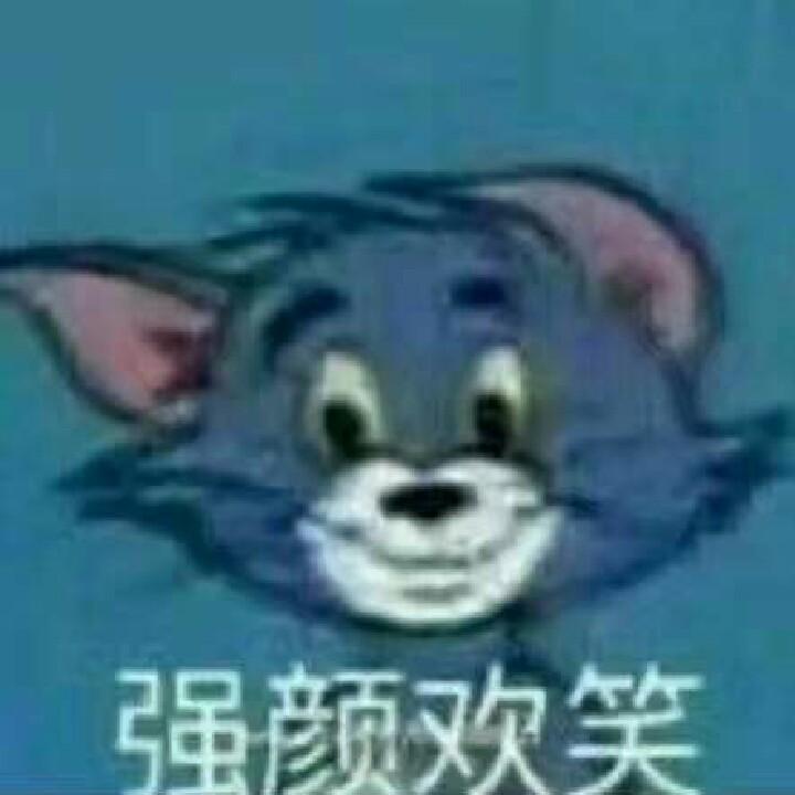 小猫拯救世界
