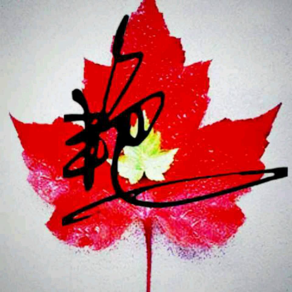 ꧁༺炎焱燚༻꧂