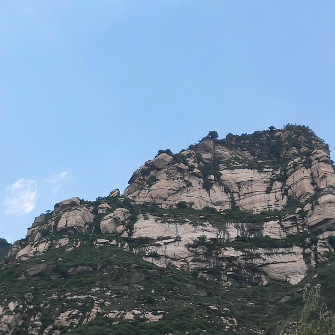 通通