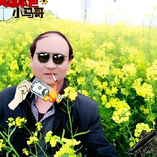 慢羊羊
