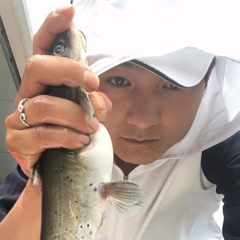 大鹤爱钓鱼