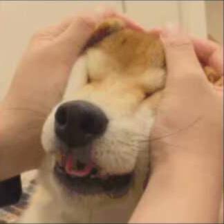 初霁