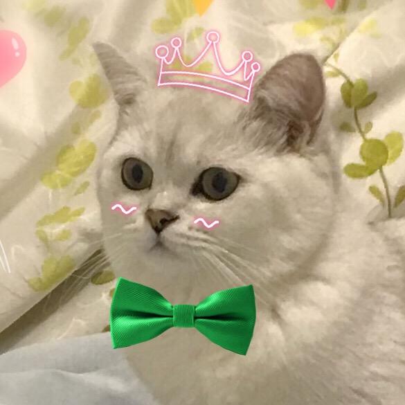 小绿不卖榴莲